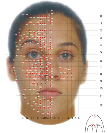 Vir: Facial Reflexology (Lone Sorensen)